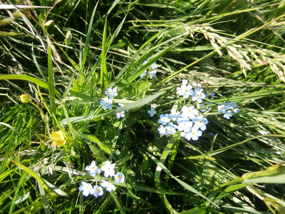 P6160054