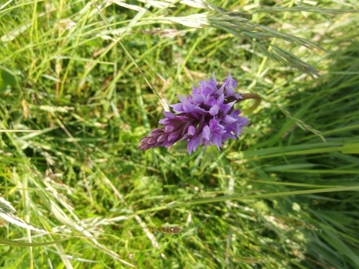 P6160055